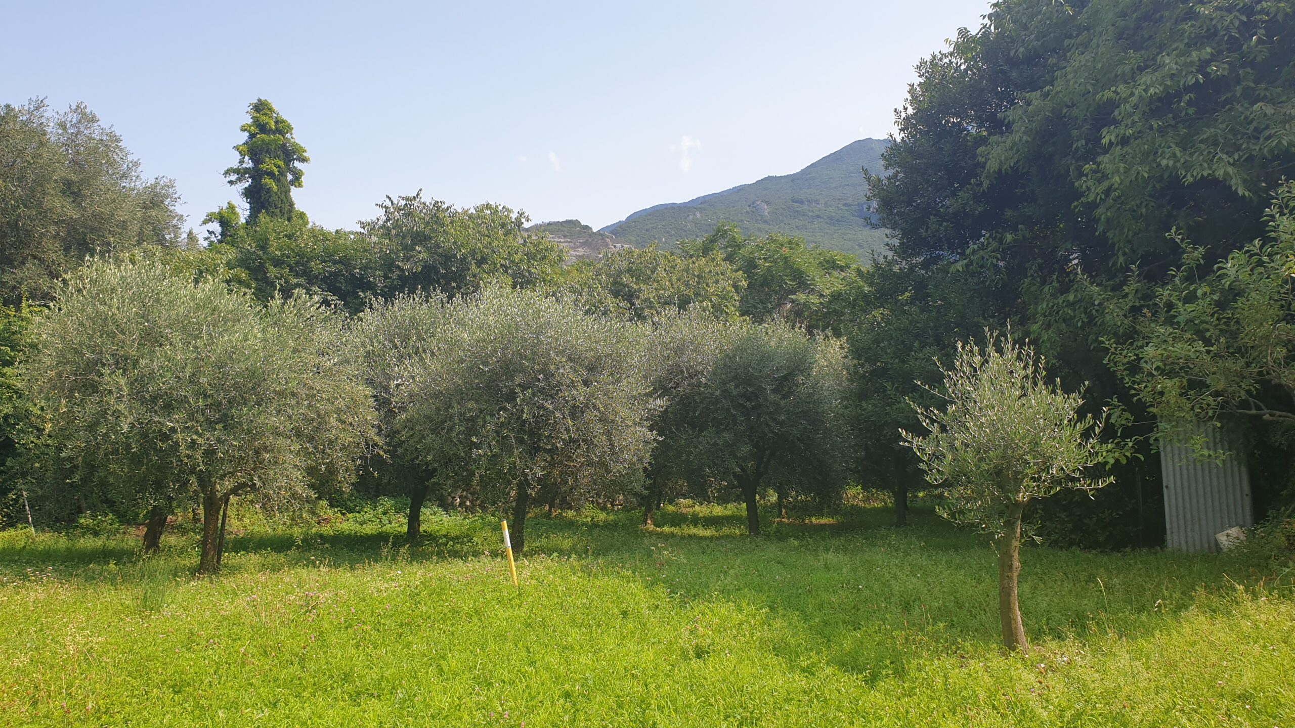 Appartamenti Nido D'Aquila - Nago-Torbole (TN)