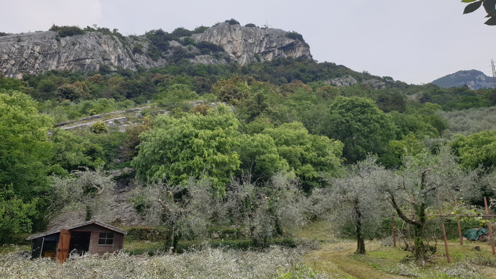 Appartamenti Nido D'Aquila - Nago-Torbole (TN)
