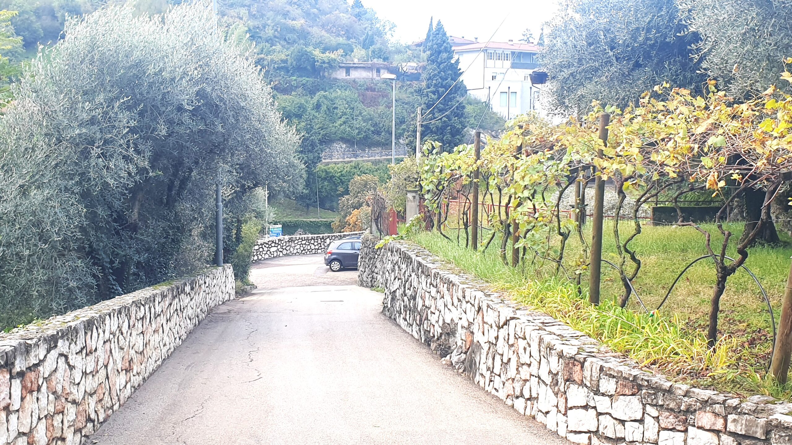 Appartamenti Nido D'Aquila - Nago-Torbole (TN)