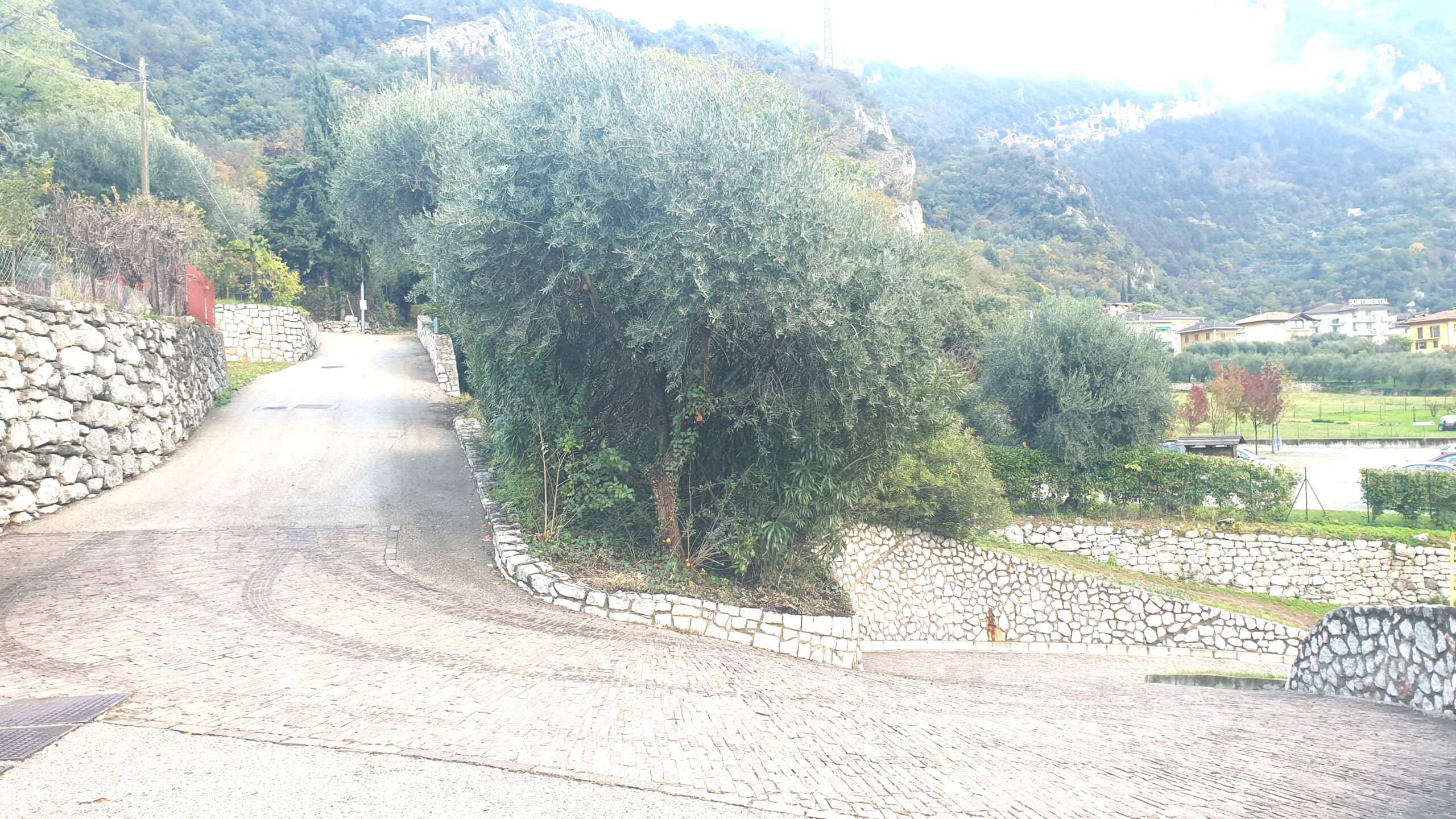 Appartamenti Nido D'Aquila - Nago-Torbole (TN)