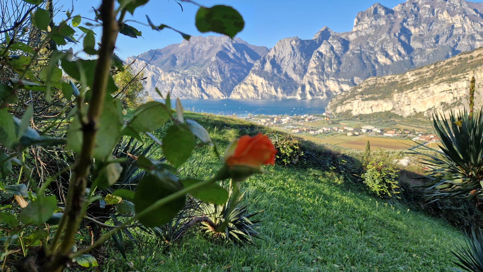 Appartamento Fringuello - Appartamenti Nido D'Aquila