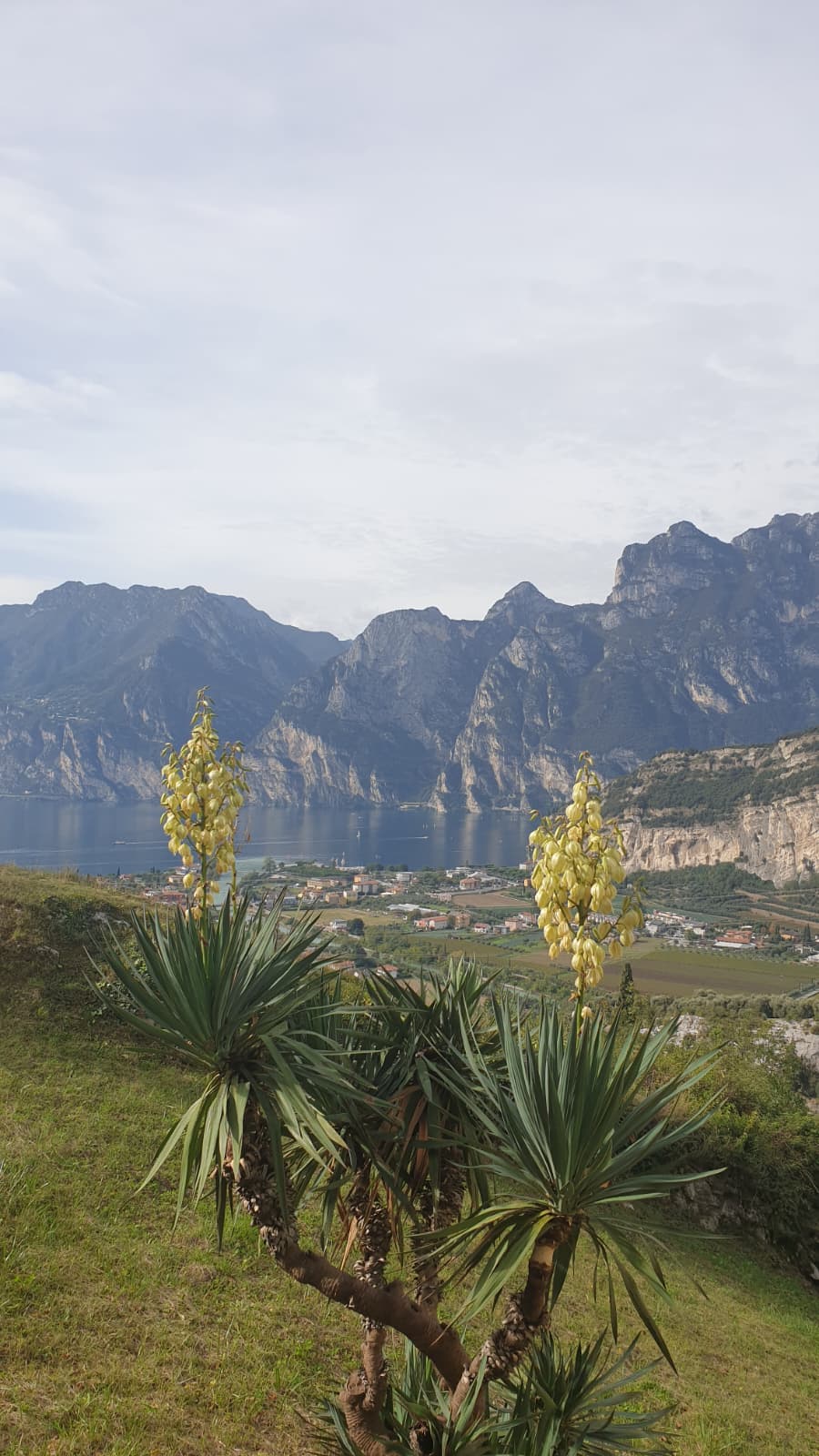 Appartamenti Nido D'Aquila - Nago-Torbole (TN)
