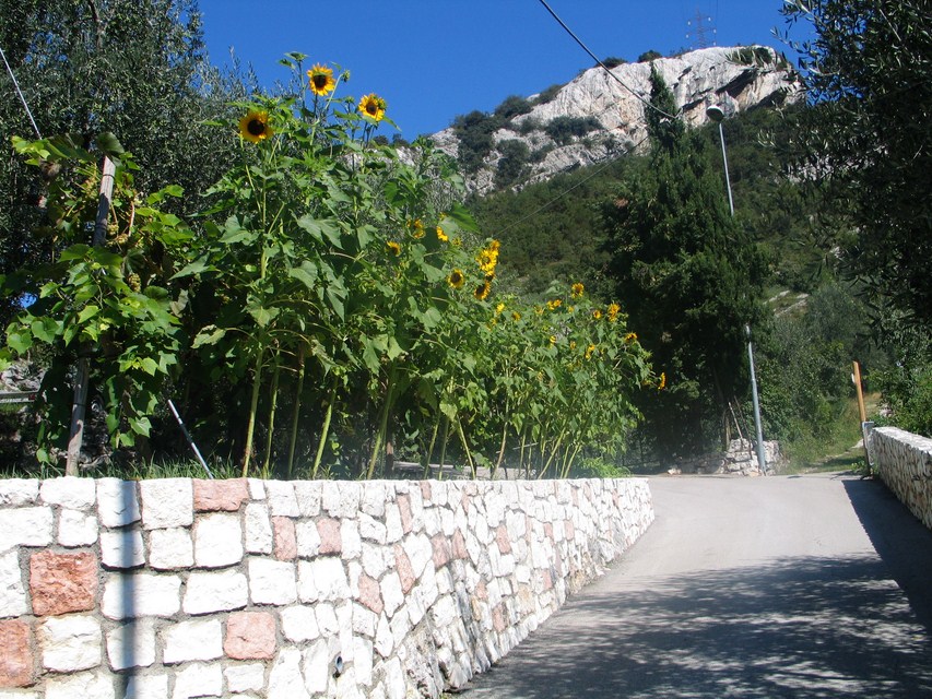 Appartamenti Nido D'Aquila - Nago-Torbole (TN)